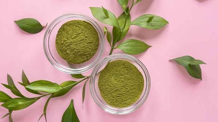Moringa Powder Or Juice: Find Out Which Method Is Most Effective For Hair Growth